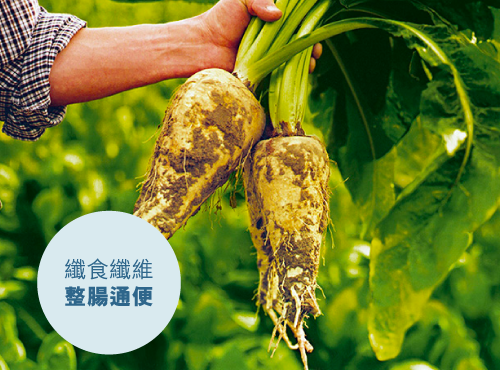 膳食纖維|整腸通便