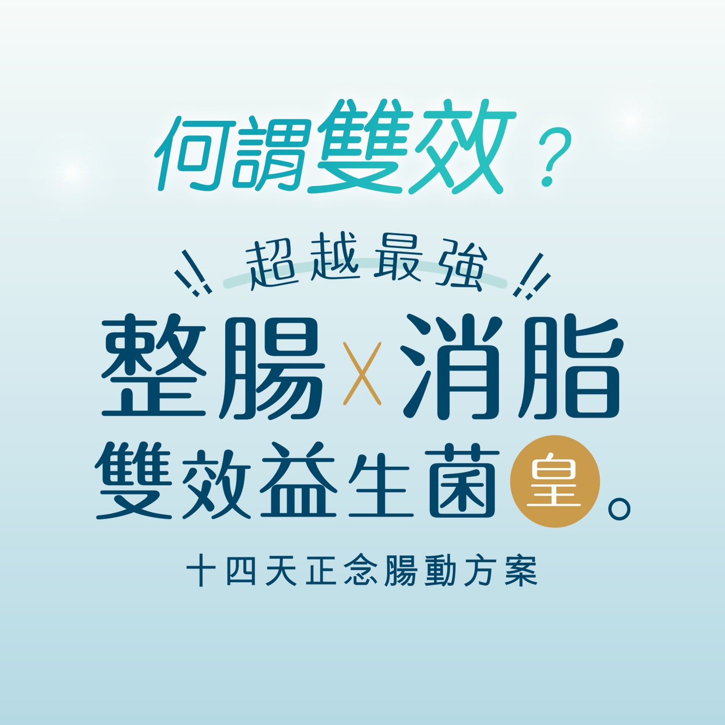 整腸X消脂 雙效益生菌皇|十四天正念腸動方案
